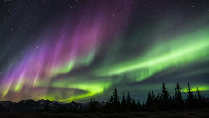 Aurora Night Sky wallpaper preview