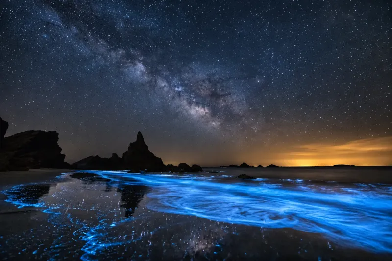 Bioluminescent Beach Beneath the Milky Way wallpaper preview