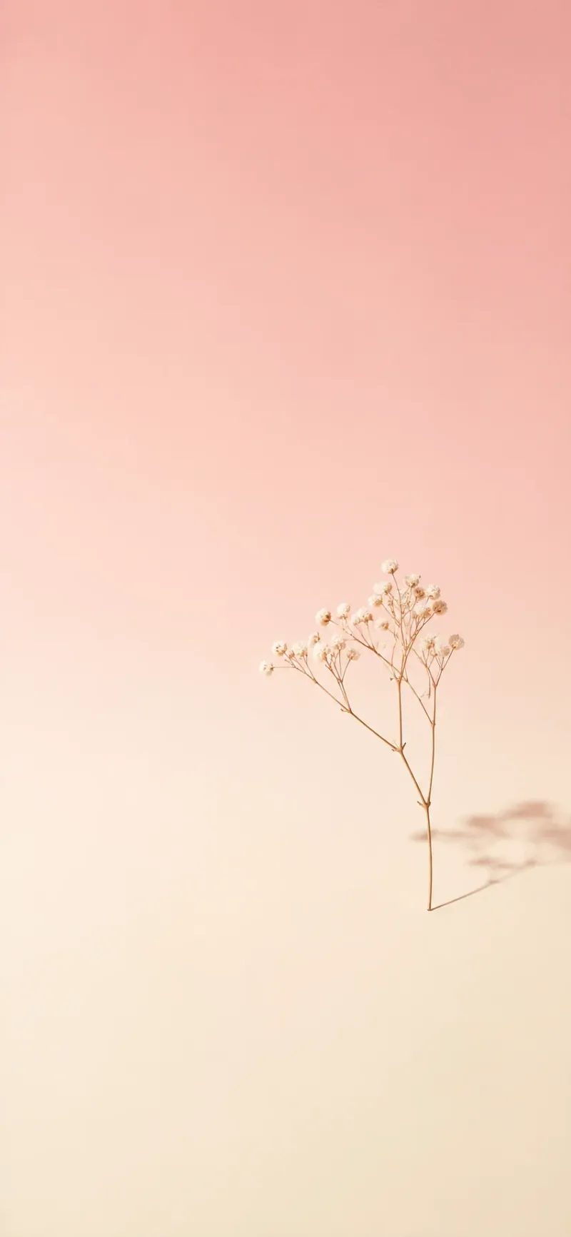 Minimal iPhone Blush wallpaper preview