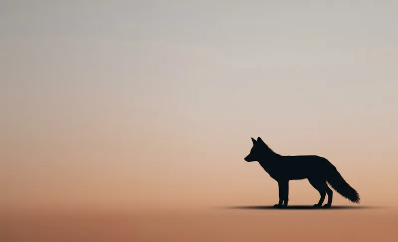Minimalist Fox Silhouette Clean Modern Wildlife Wallpaper wallpaper preview
