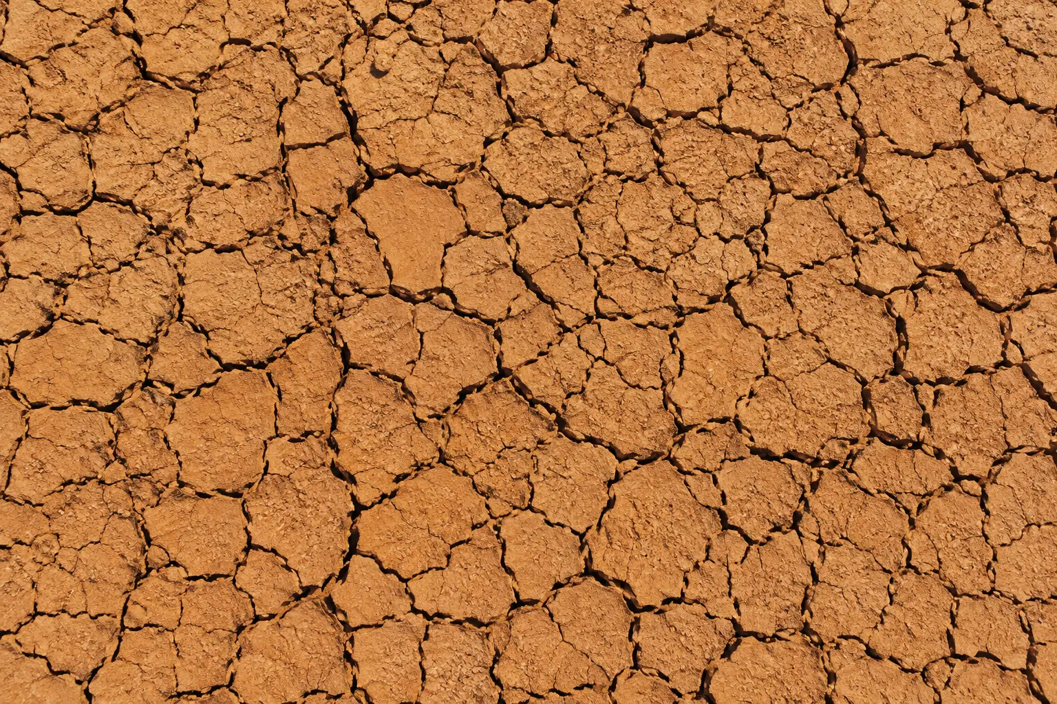 Drought Lines Abstract Cracked Earth Wallpaper wallpaper full preview