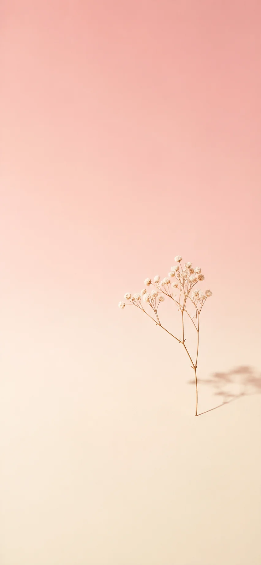 Minimal iPhone Blush wallpaper full preview