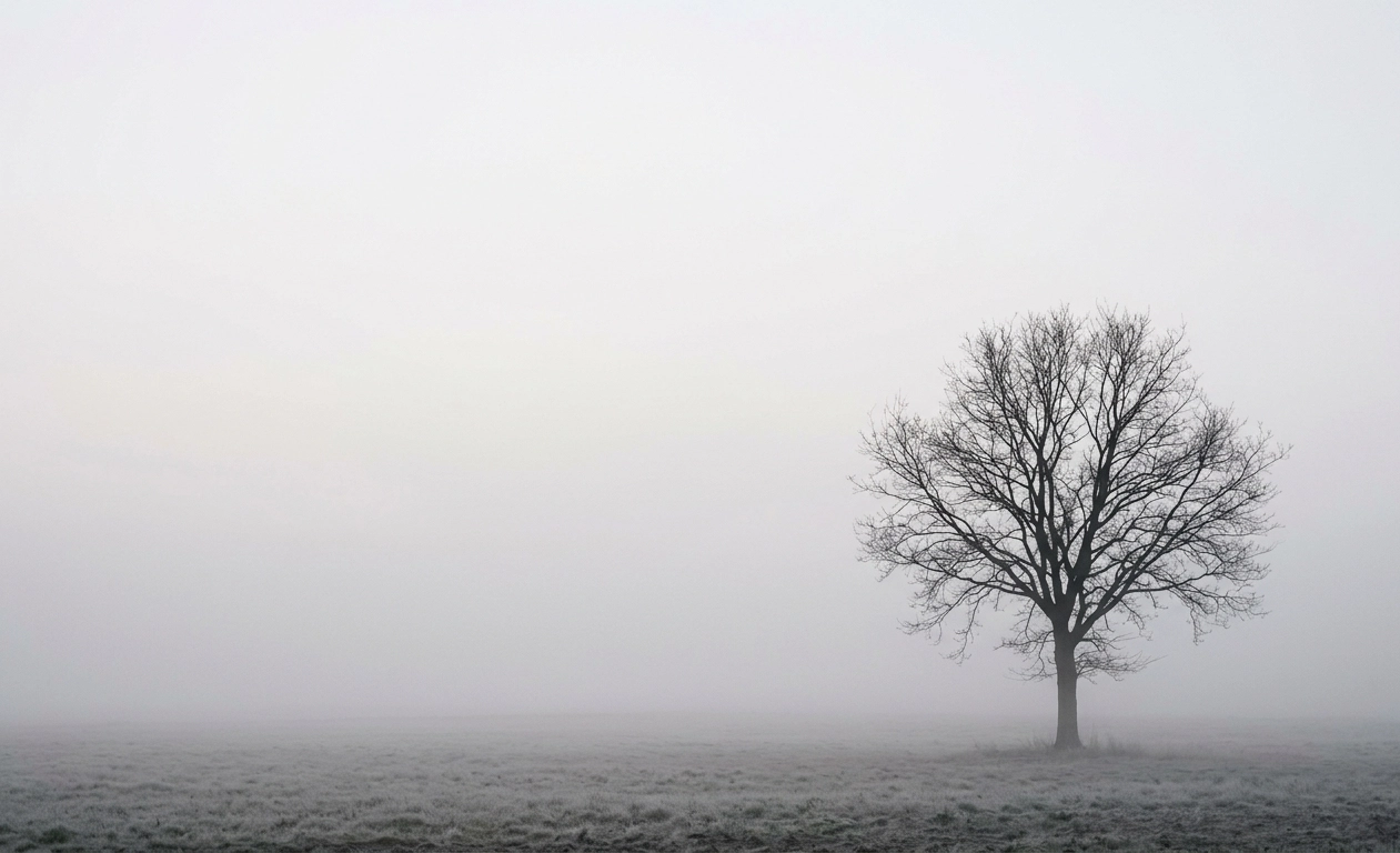 Solitude Minimal Foggy Tree Wallpaper